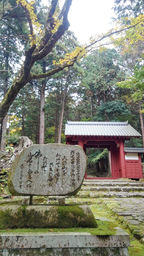 琵琶湖の紅葉