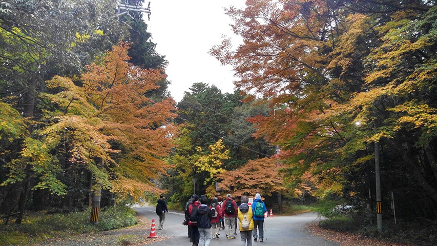 琵琶湖の紅葉