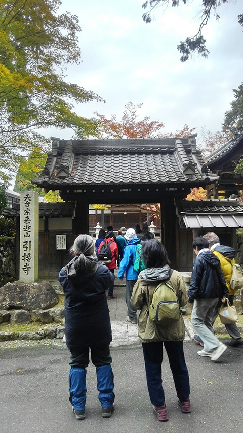琵琶湖の紅葉