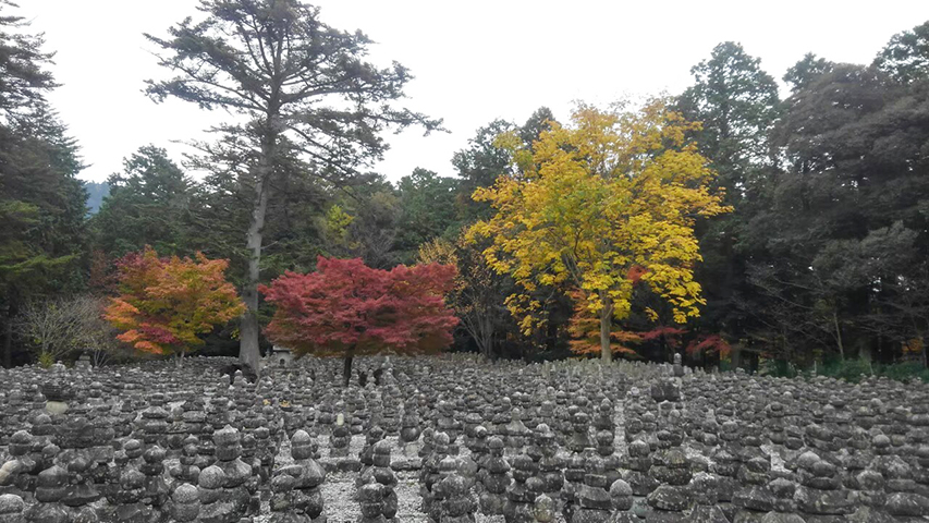 琵琶湖の紅葉