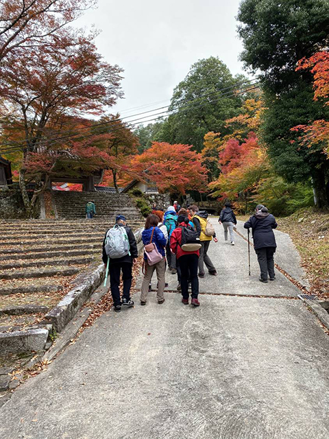 琵琶湖の紅葉