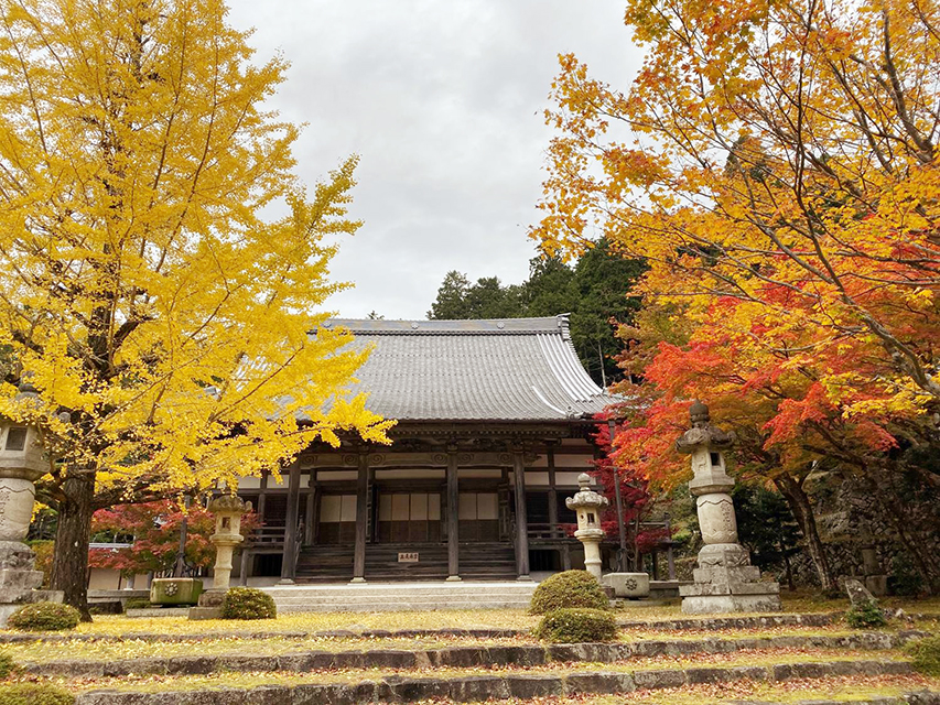琵琶湖の紅葉