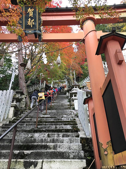 琵琶湖の紅葉